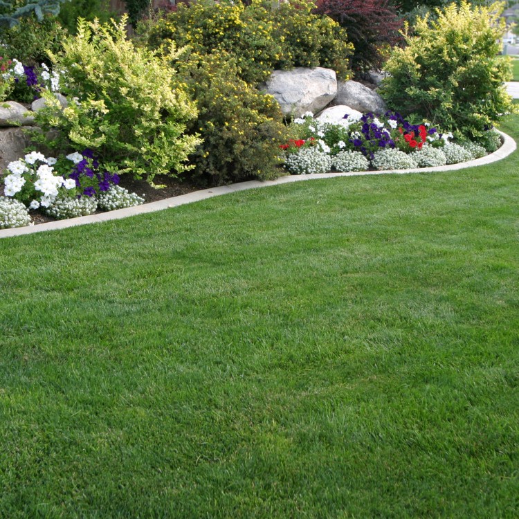 Landscaping in New London, Connecticut Landscaping in New London, Connecticut
